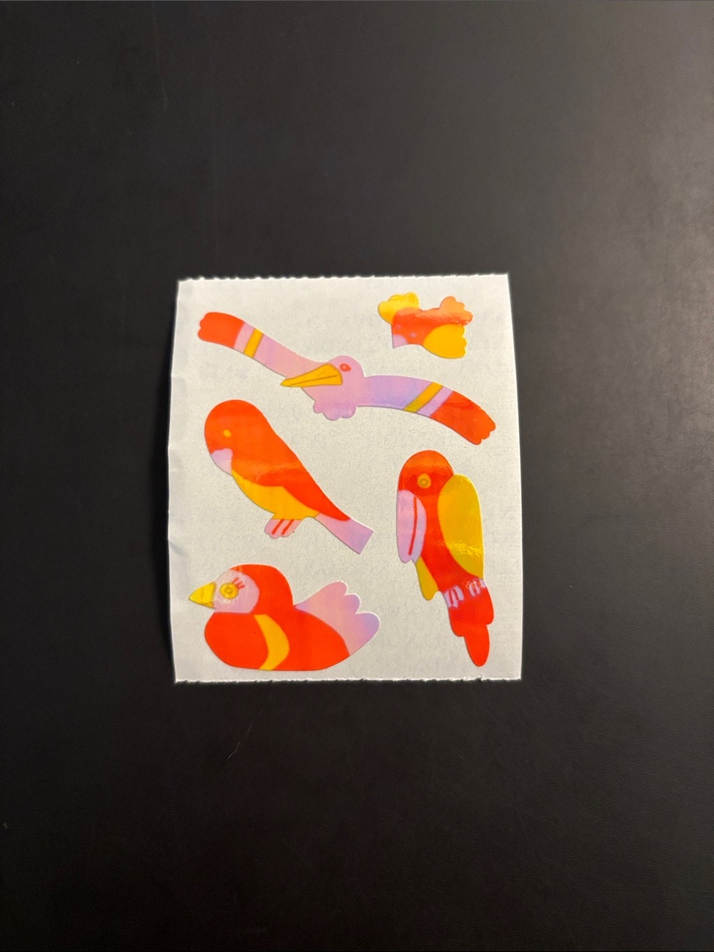 Cotrin Tropical Birds Pearly Sticker Mod Vintage 80's